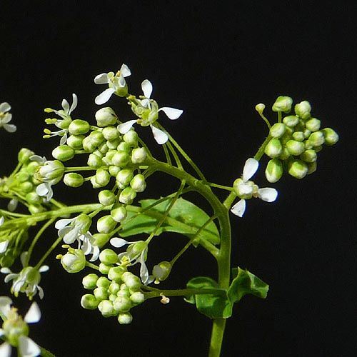 R16e43d283f11f9e410a93c59709706e7