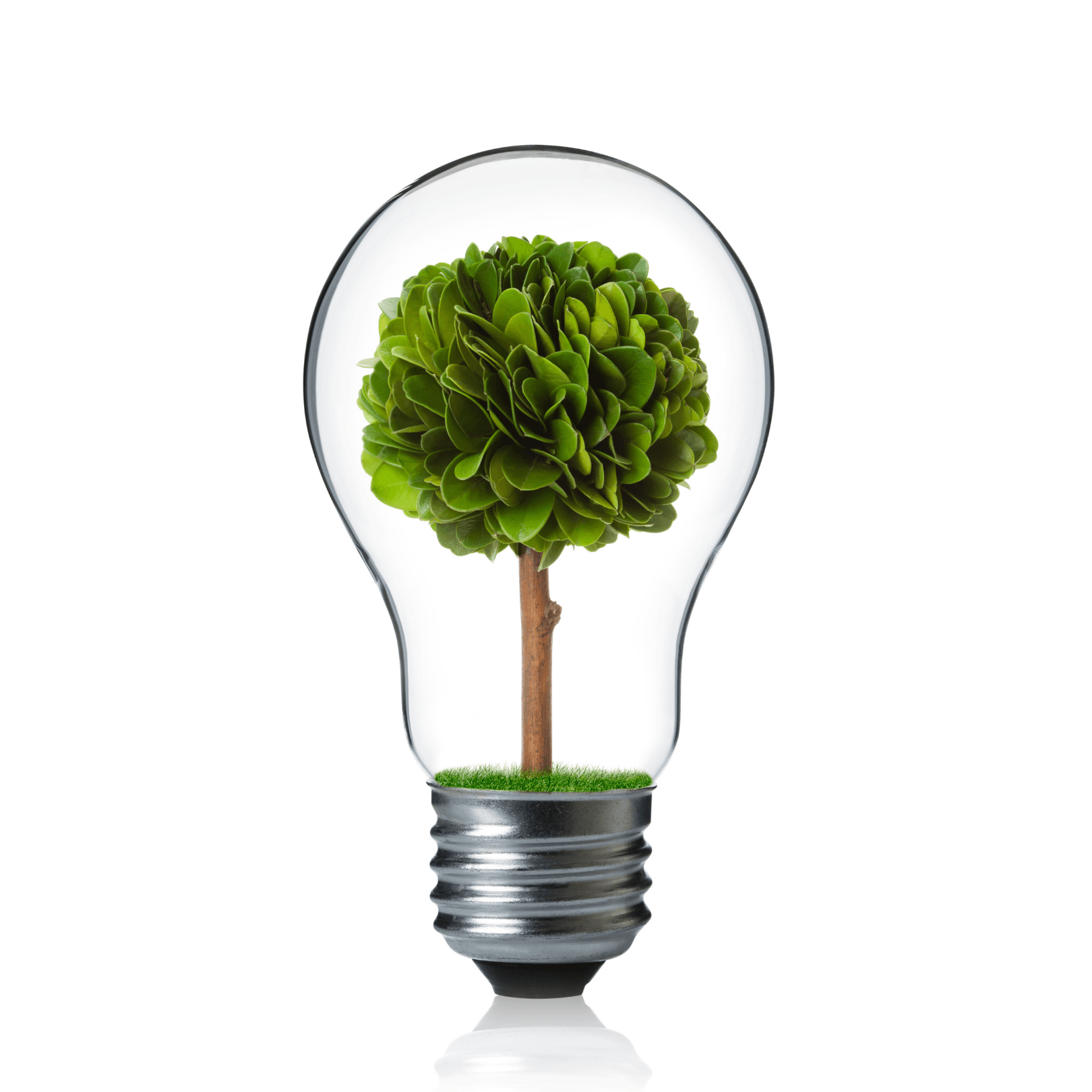 MicrosoftTeams-image