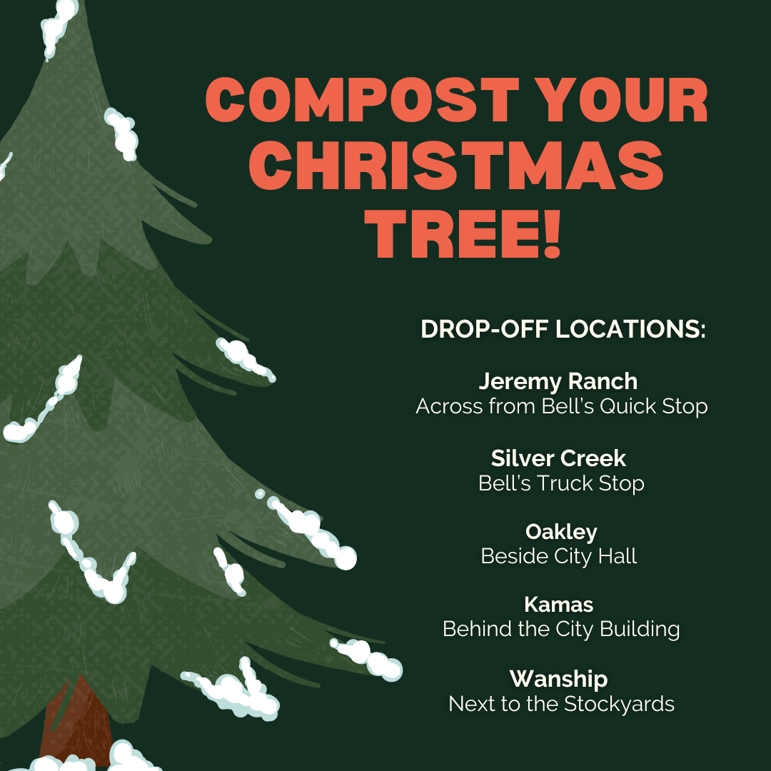 COMPOST CHRISTMAS TREE-3