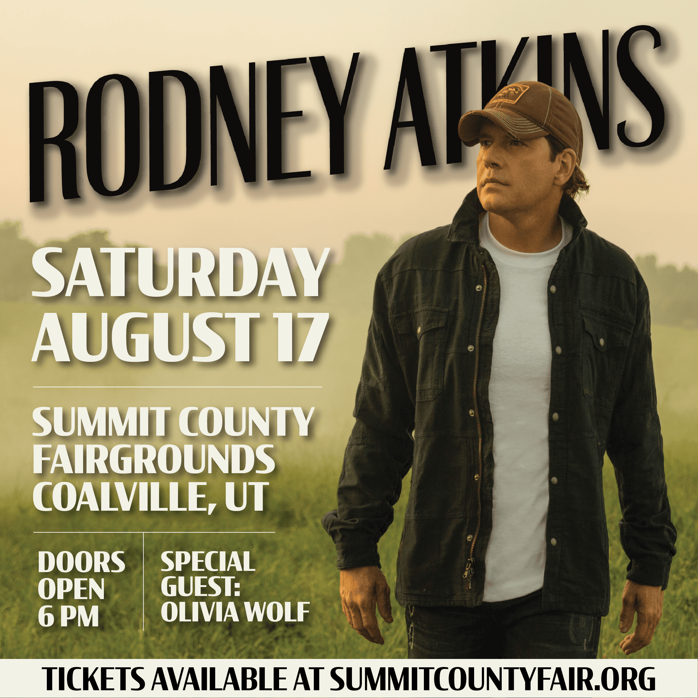 social media - summit county concert series