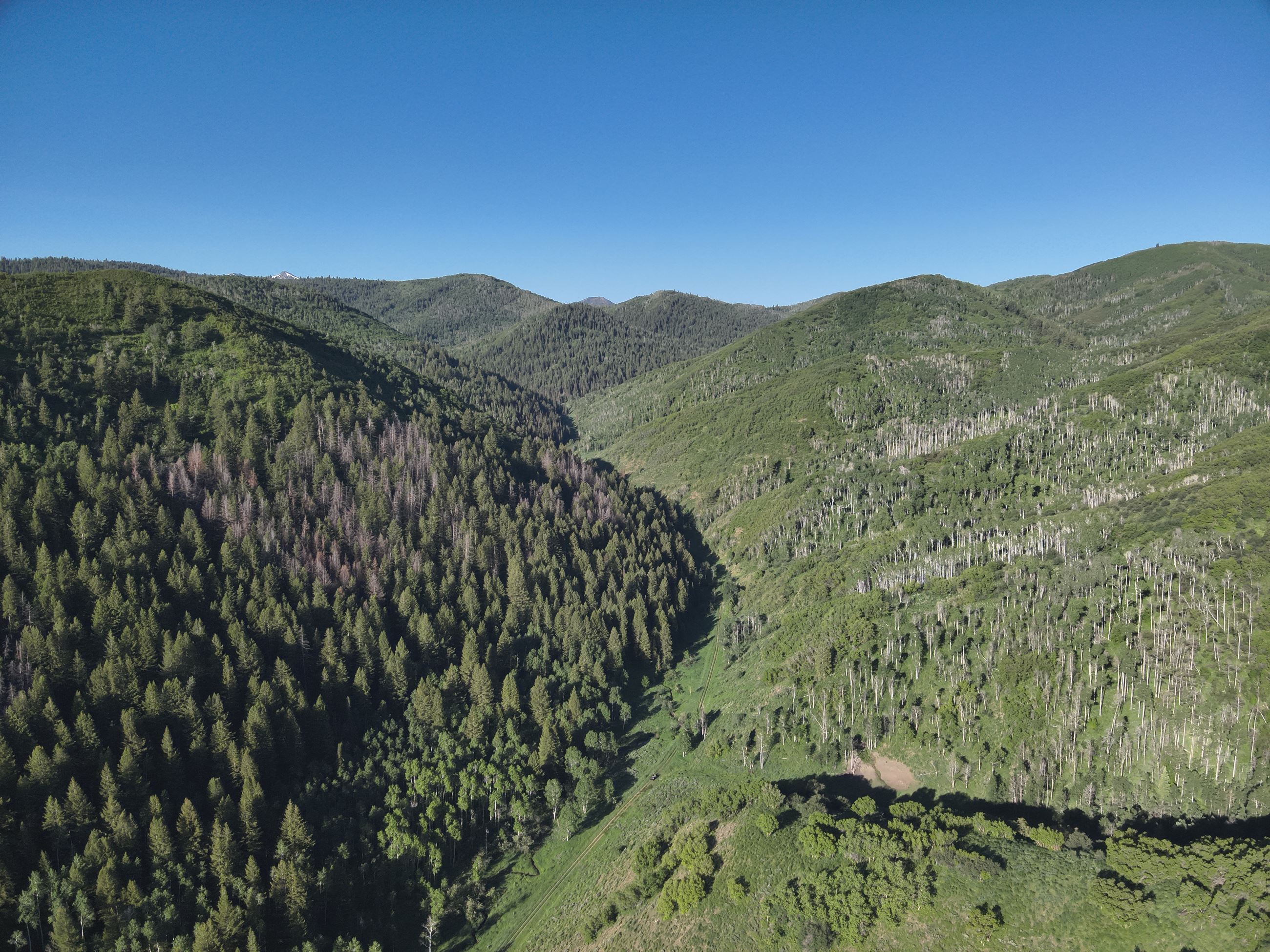 Photo of 910 Ranch from above