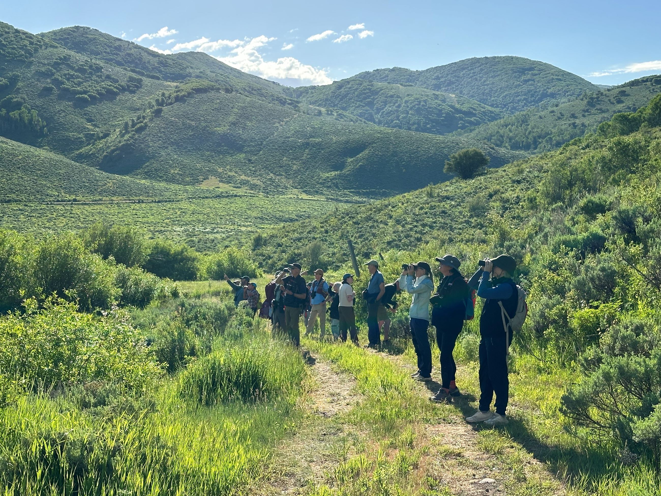 Birding on the 910 Ranch in Summer 2024